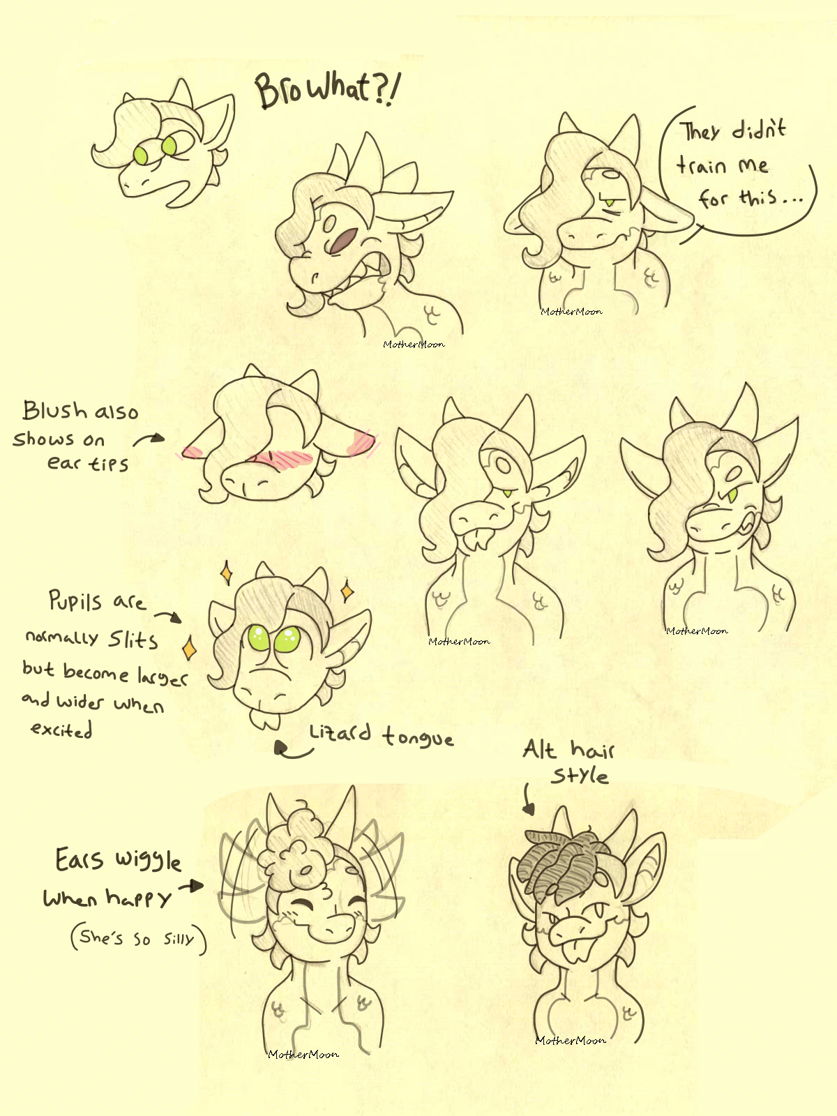 newlid_busts